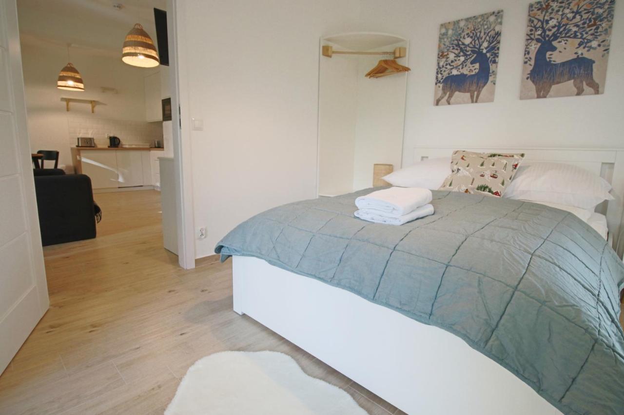 Apartment Bazatatry Kozica ザコパネ エクステリア 写真