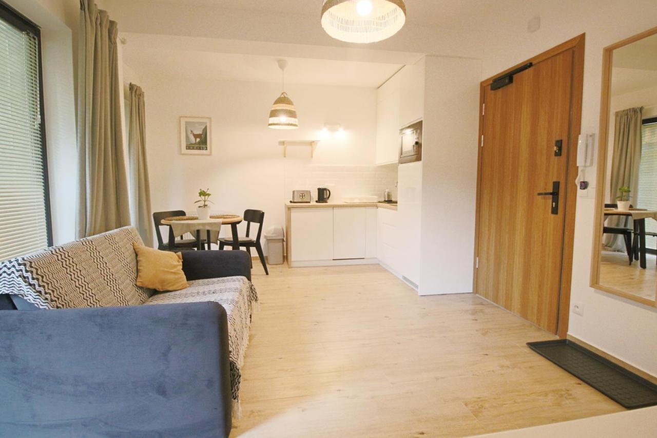 Apartment Bazatatry Kozica ザコパネ エクステリア 写真